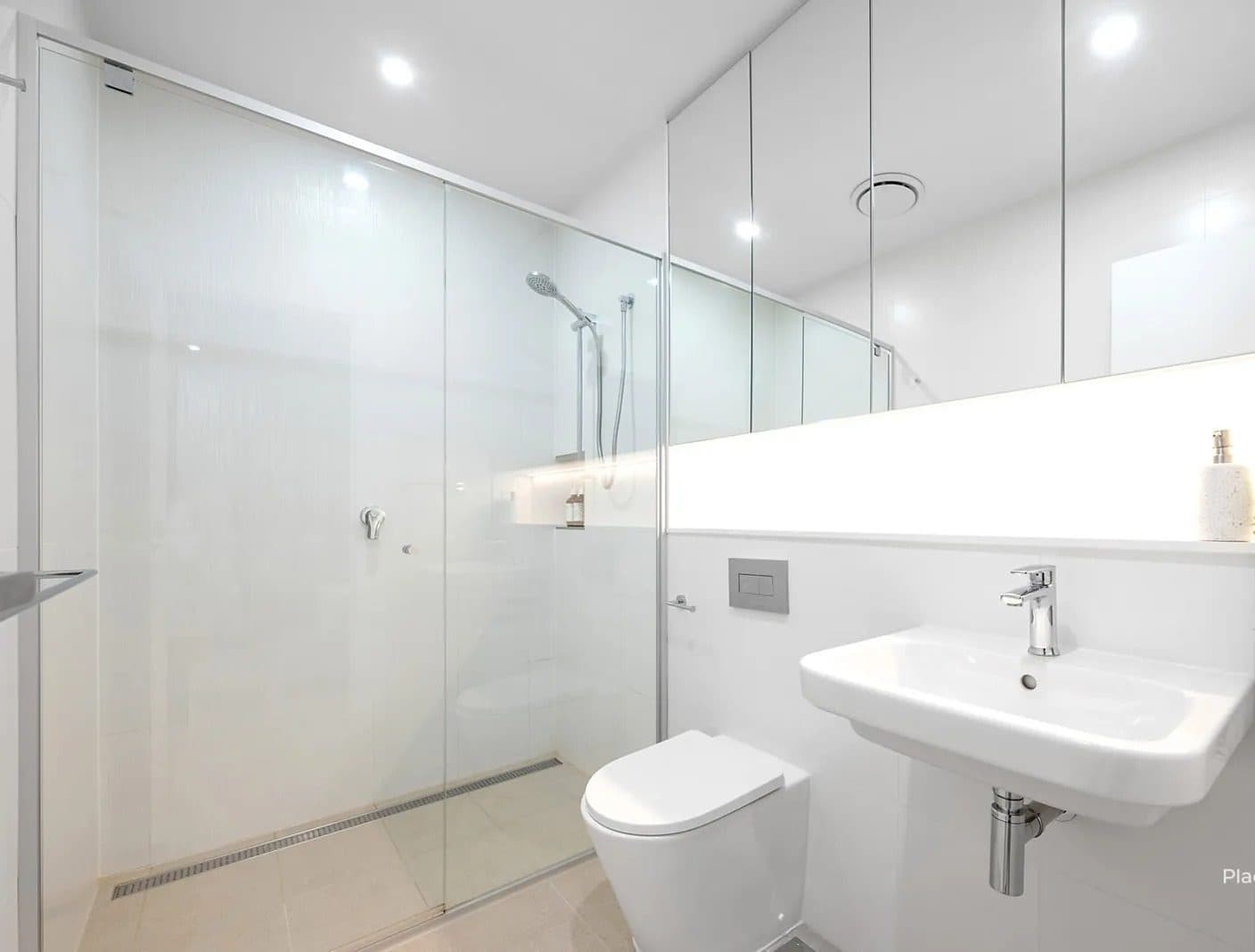 Guest bathroom — frameless shower, mirrored cabinet and greenery
